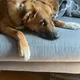 Blessiv profile