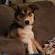 Cory profile