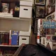 boomtowncollectibles profile