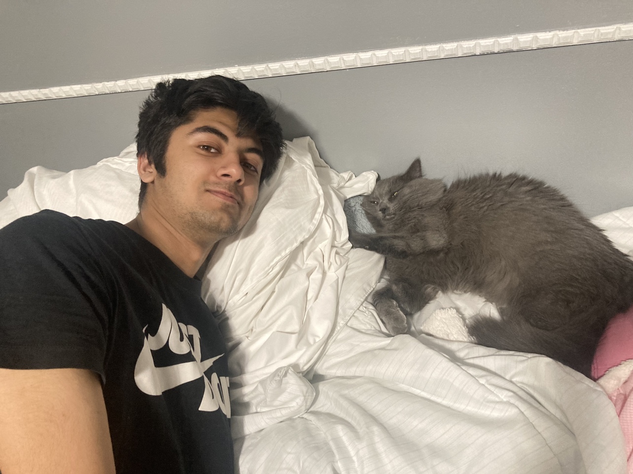 Faze profile
