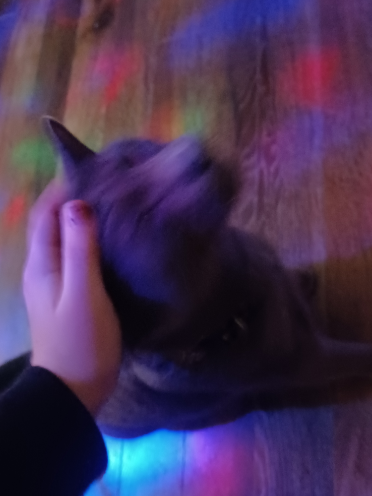 ray profile