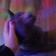 ray profile