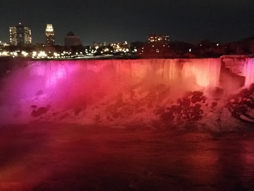 Felicity Litschgy profile