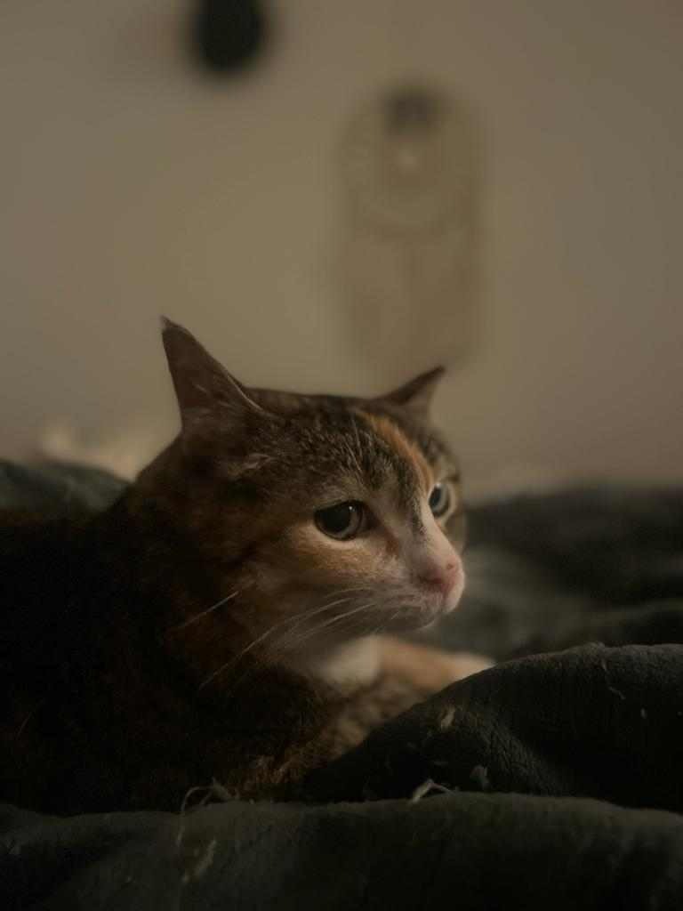 Billy profile