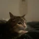 Billy profile
