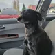 Brendan profile