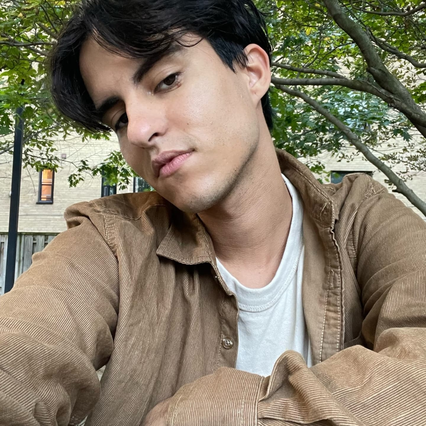 Bernardo profile
