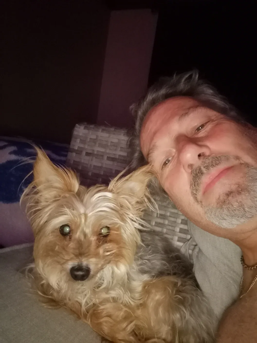 Harvey Watters profile