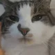 Tasha profile