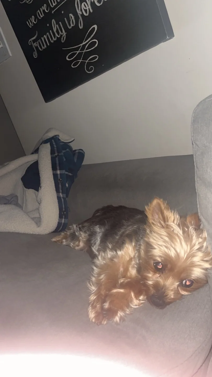 Brody palmer profile