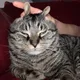 Dubby profile
