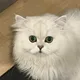 Lokhein profile