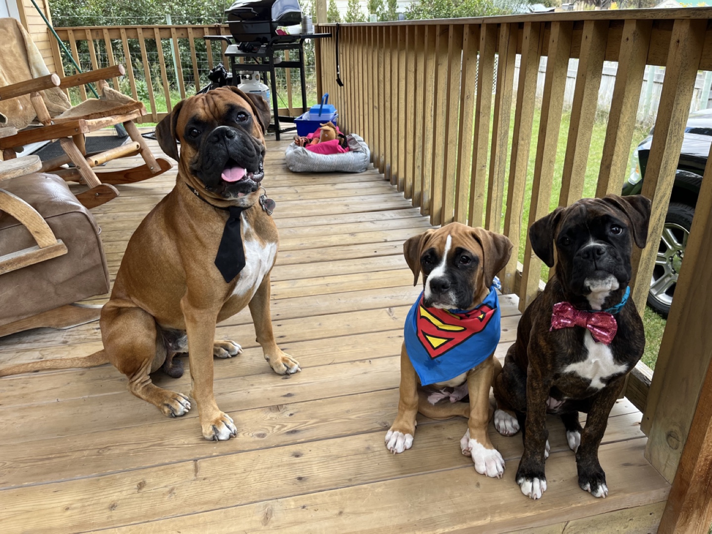 Threewetnoses profile