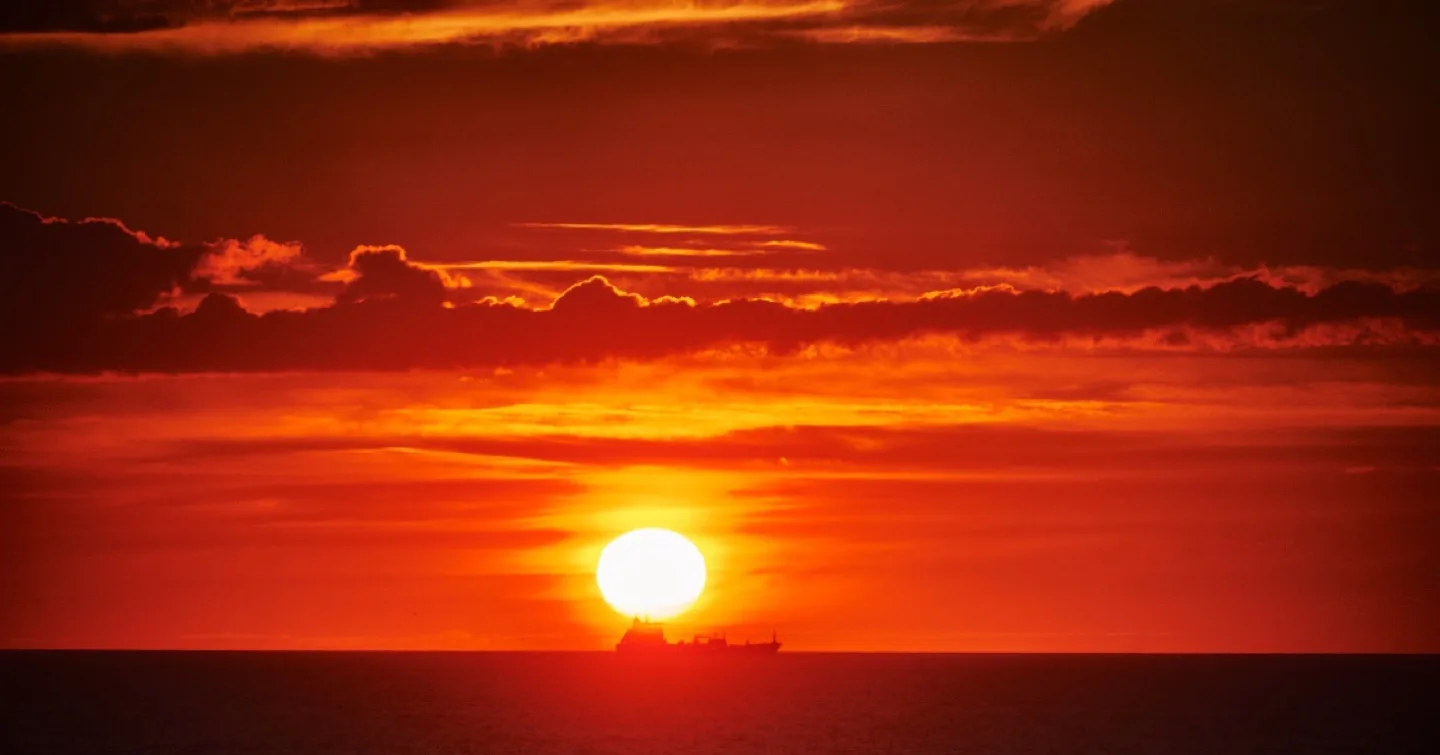 evan davidson profile