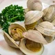 Clams profile