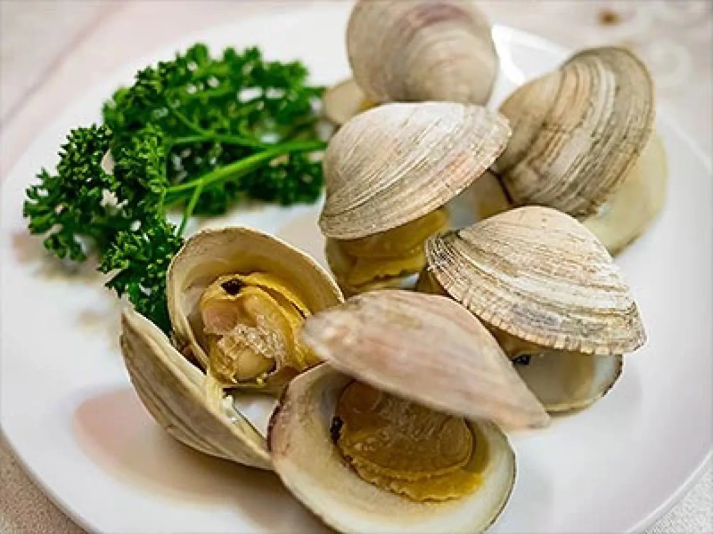 Clams