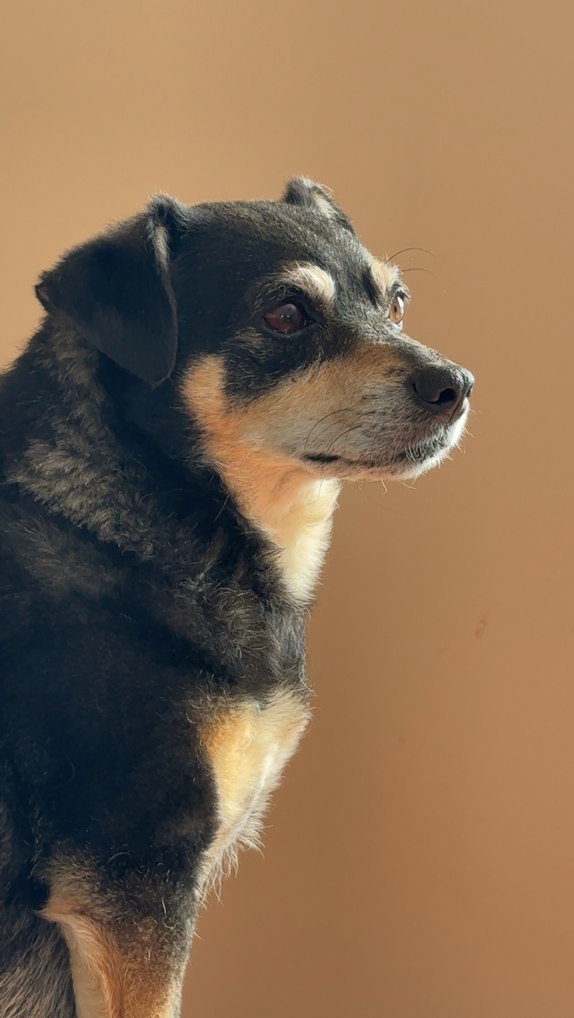 Cason profile