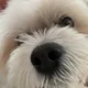 Jon B profile