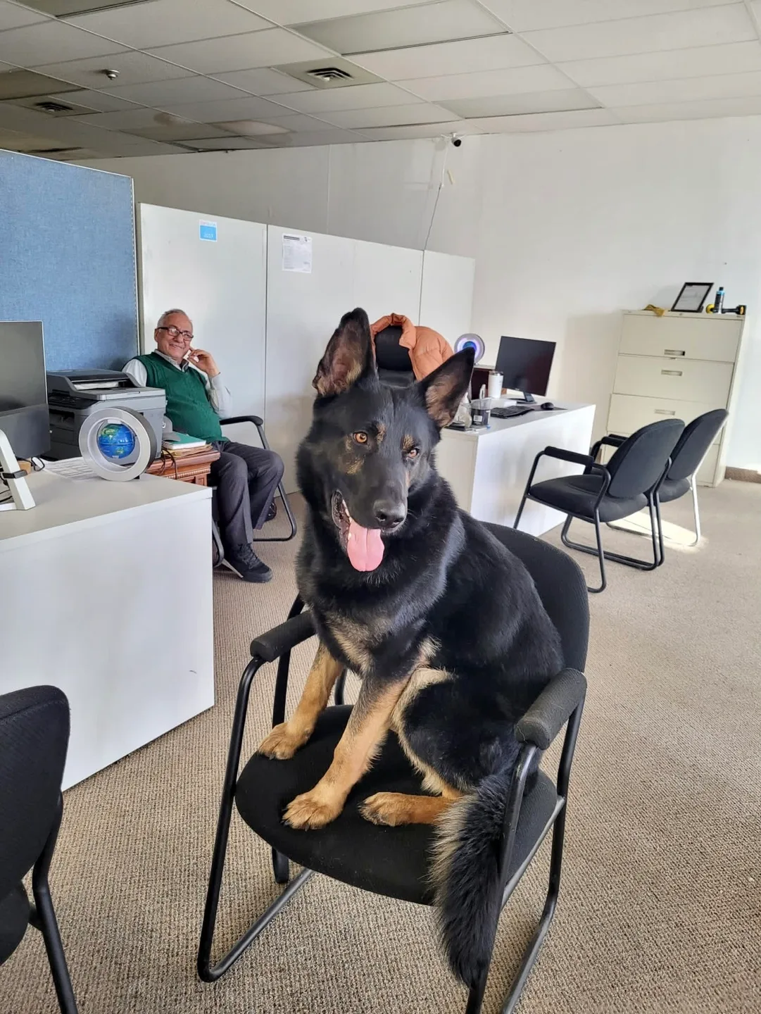 Misbah Suleman profile