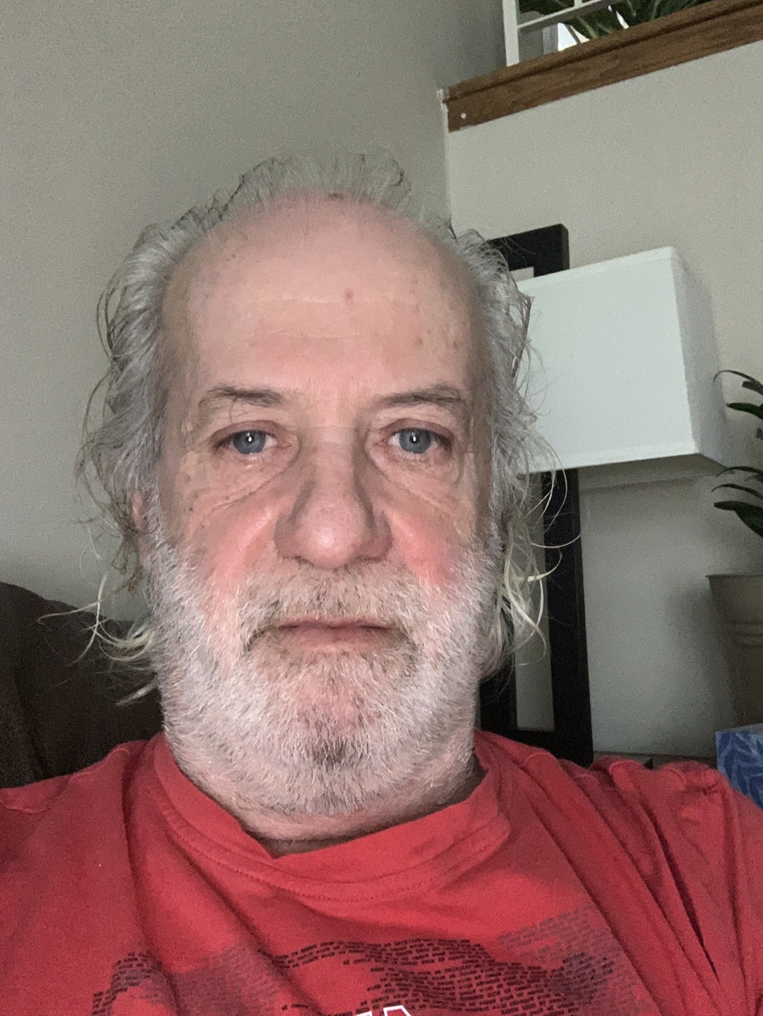 Scott profile