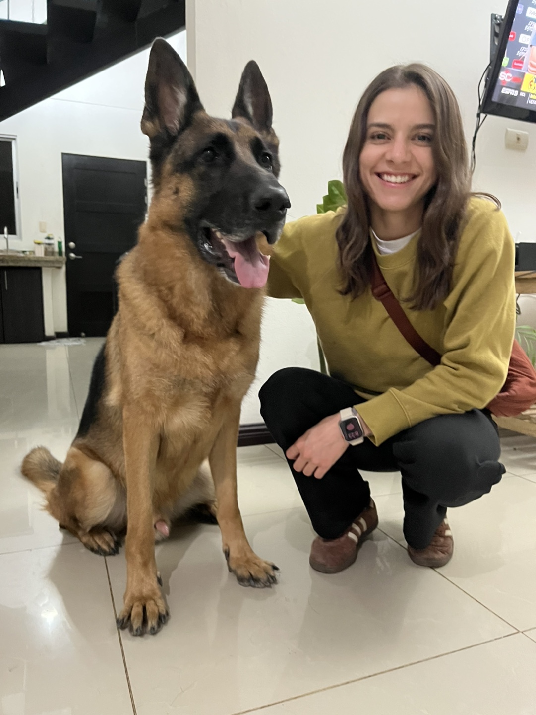 Alex profile