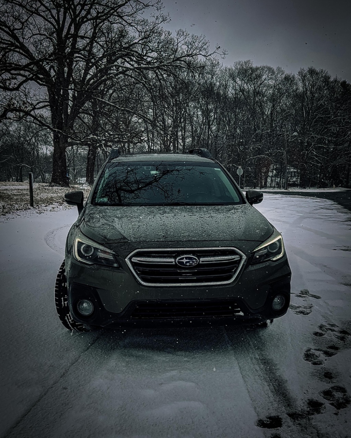 Pretynana profile