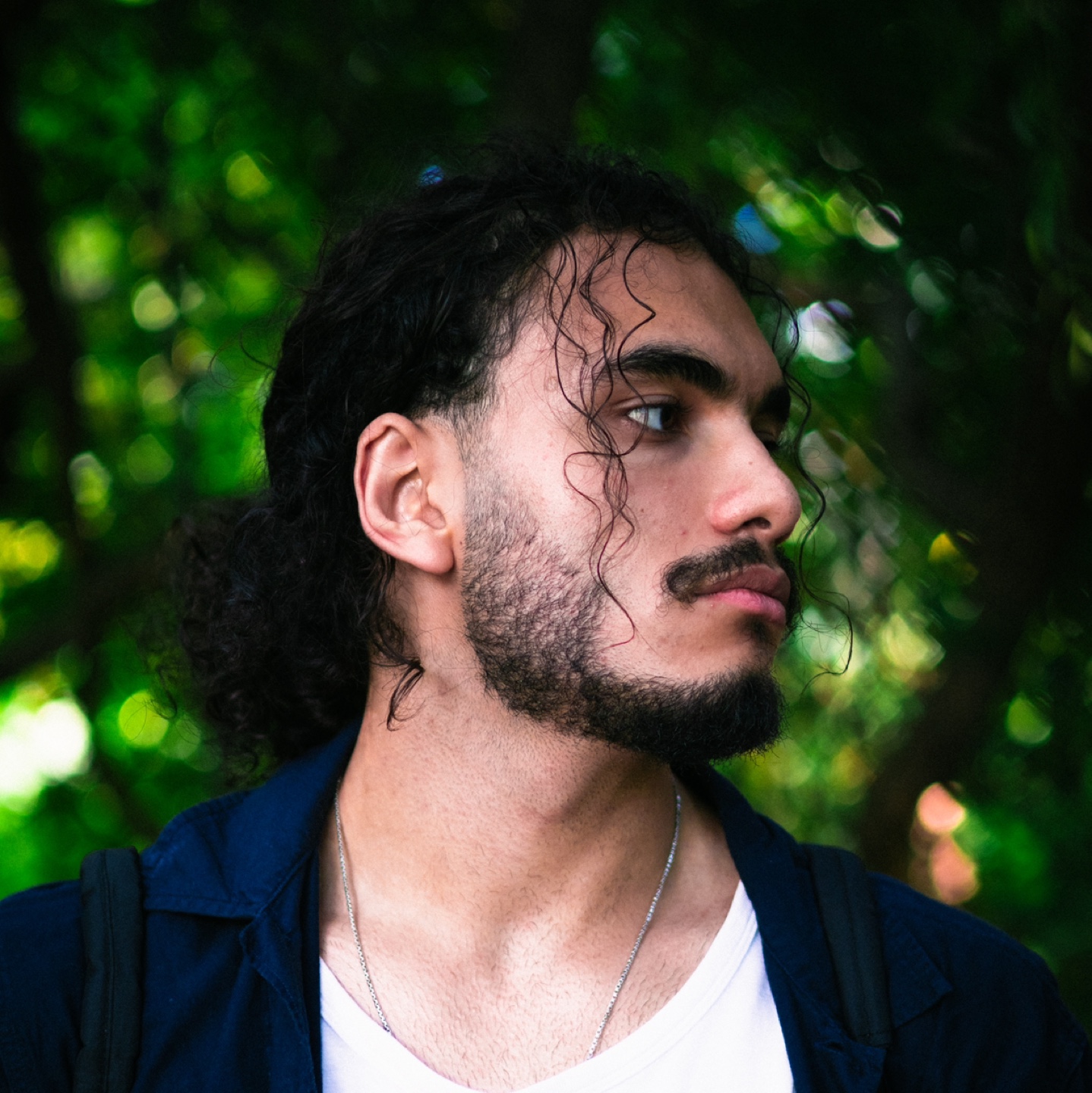 Ali N profile