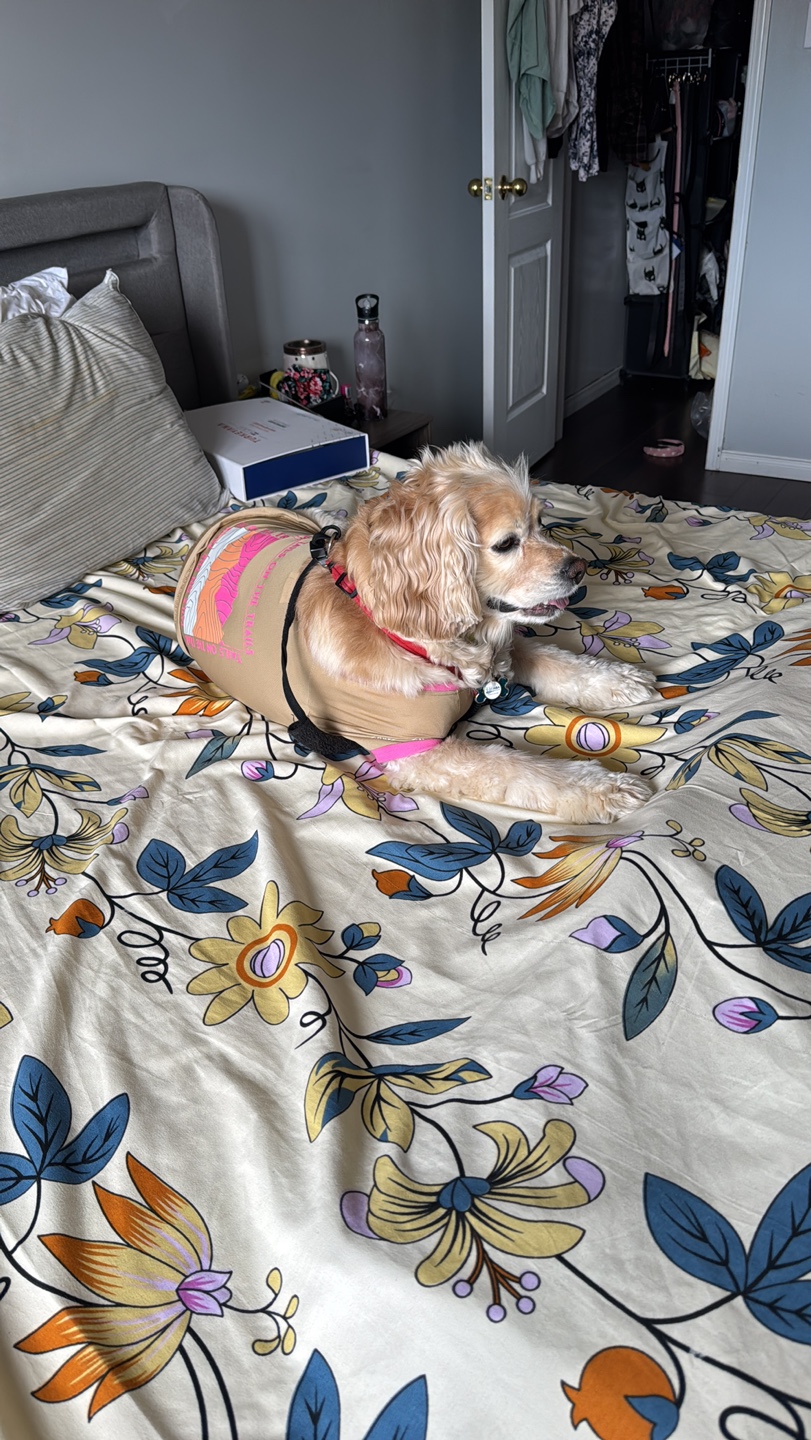 Niya profile
