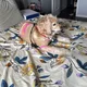 Niya profile