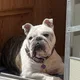 Howard profile