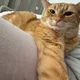 iambread profile