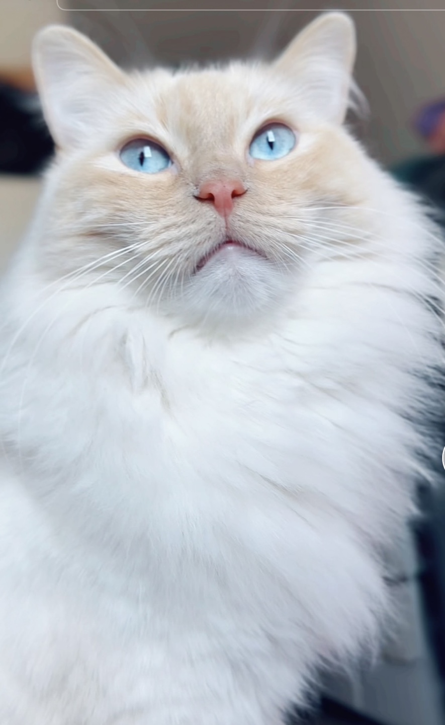 Eve profile