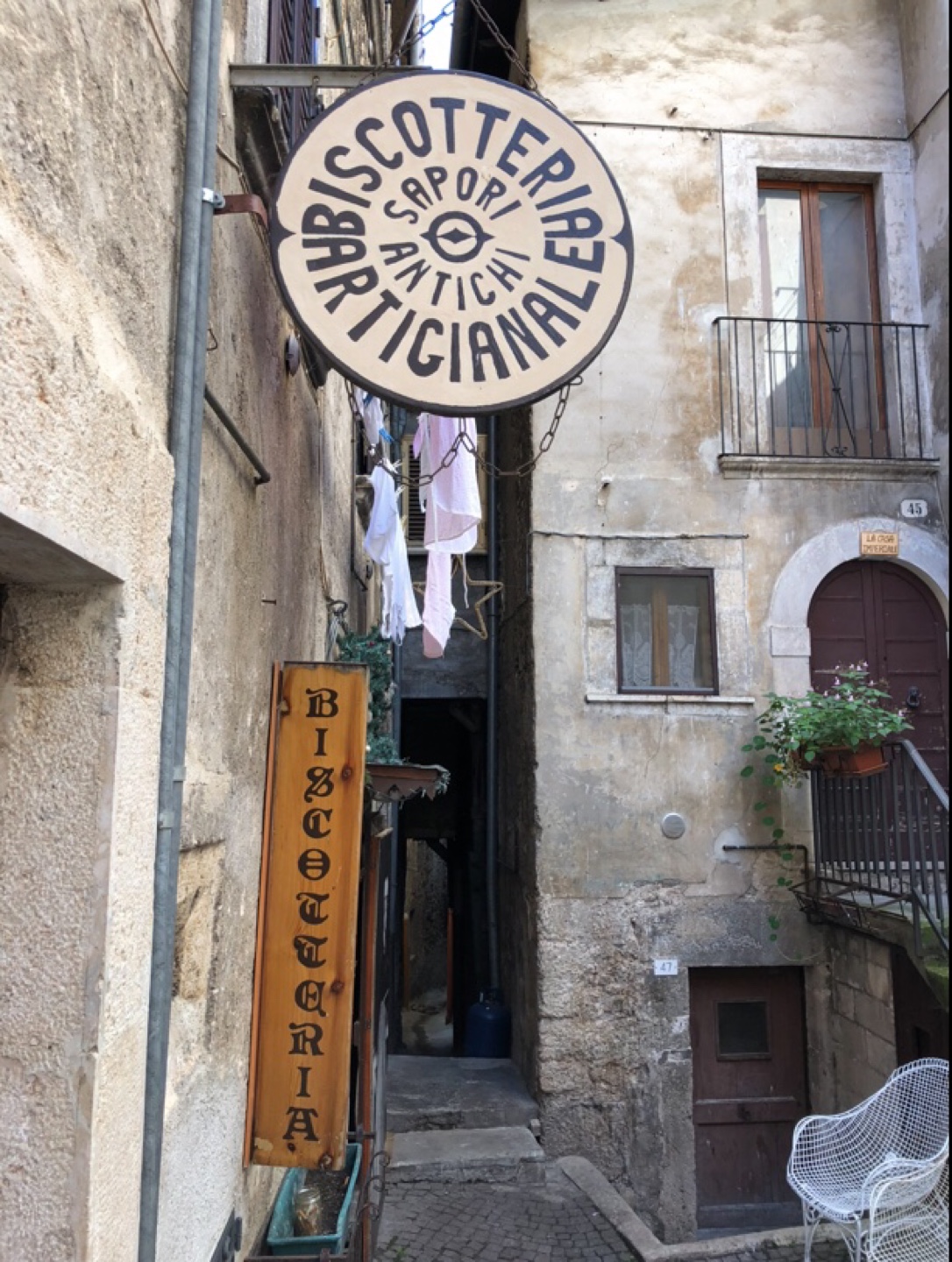 Scotty Canadese profile