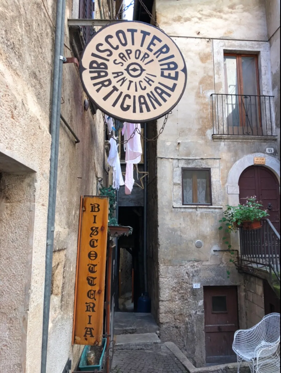 Scotty Canadese profile