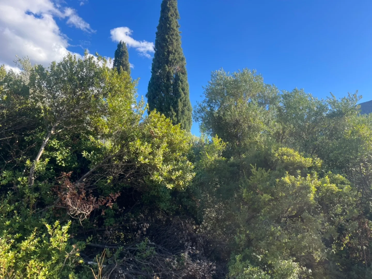 Peter styllet profile