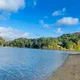 Rannie profile