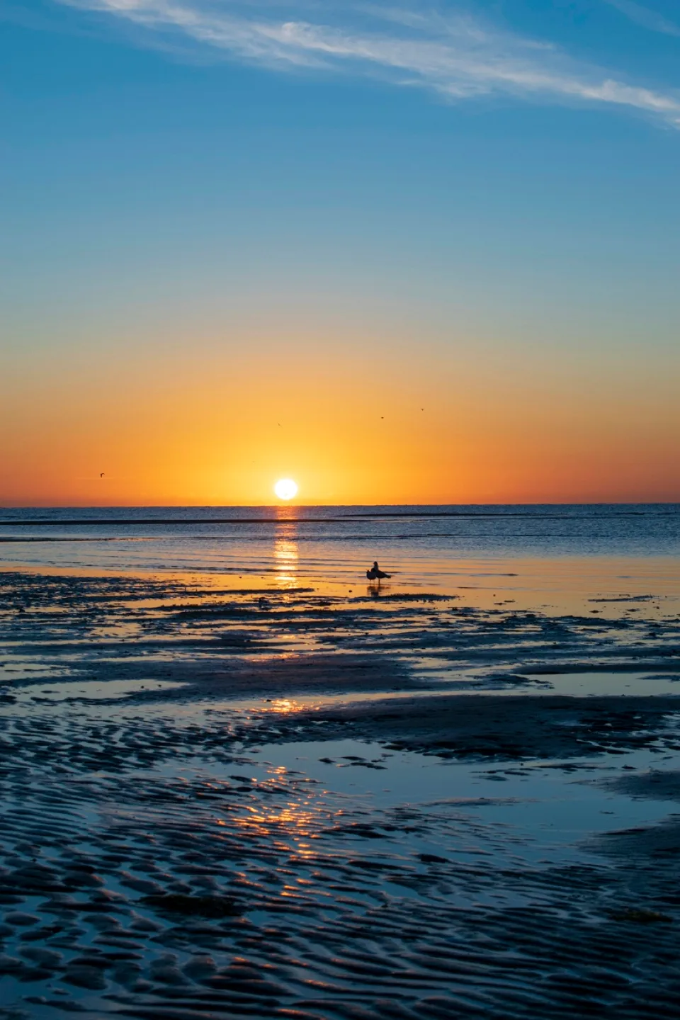 Kyle Thompson profile