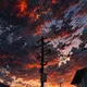Karma profile