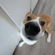 missjiru profile