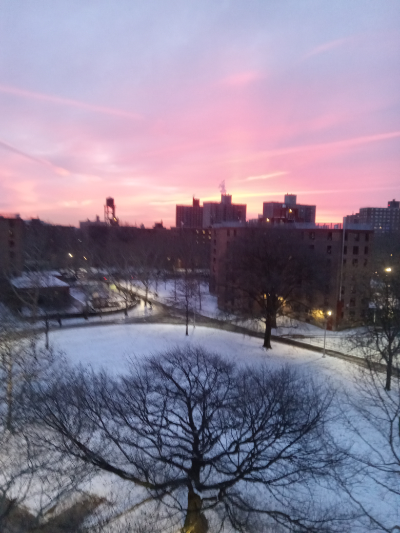 Angelo colon profile