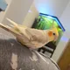 lilah profile