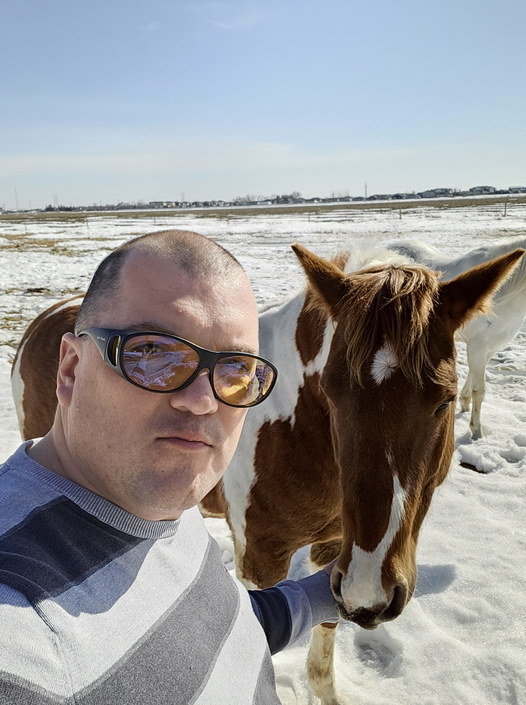 Mike Kehler profile