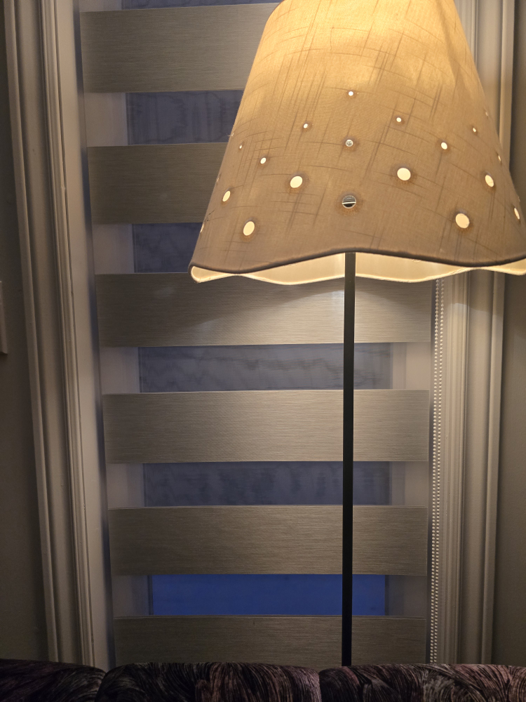 Ritz profile