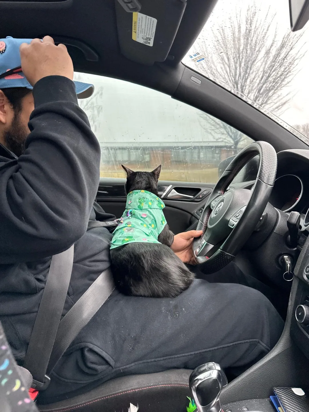 Angel Castillo profile