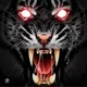Tiger profile