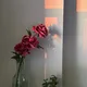 Zk profile