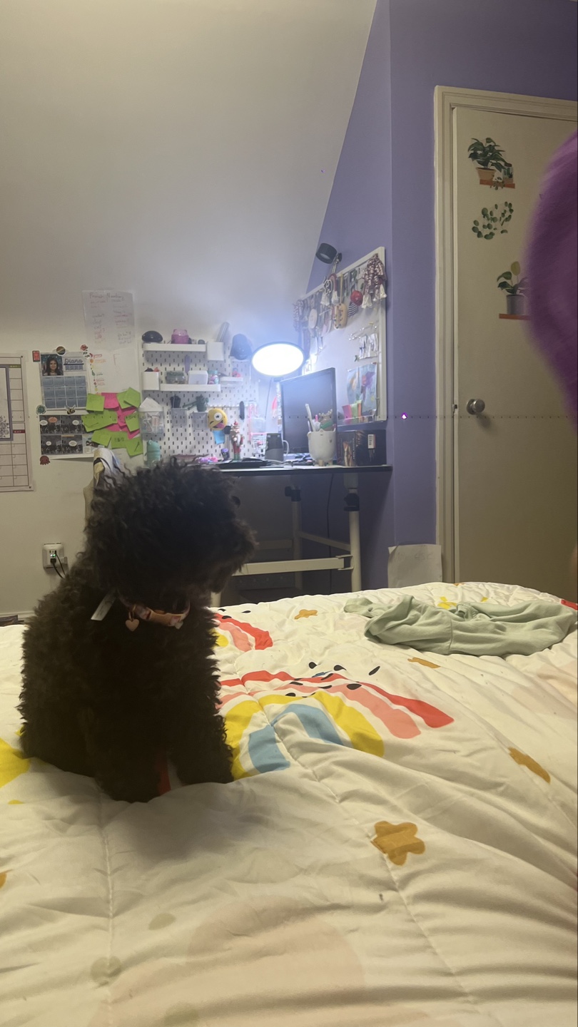 Naomi profile