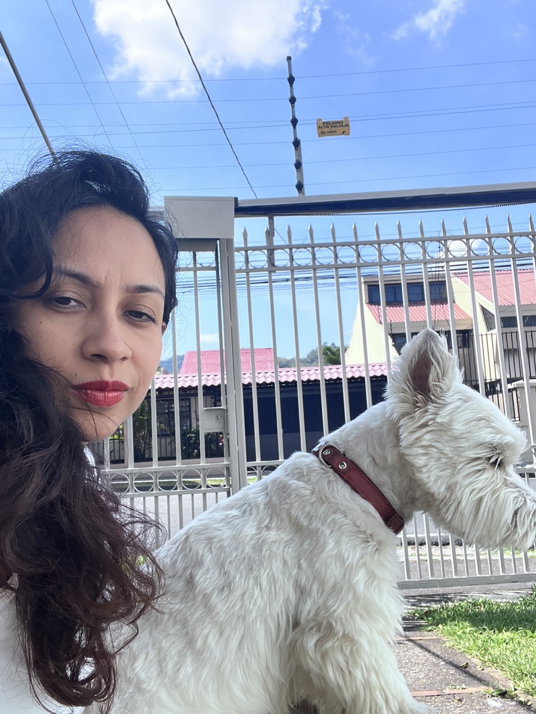 Lola profile