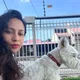 Lola profile
