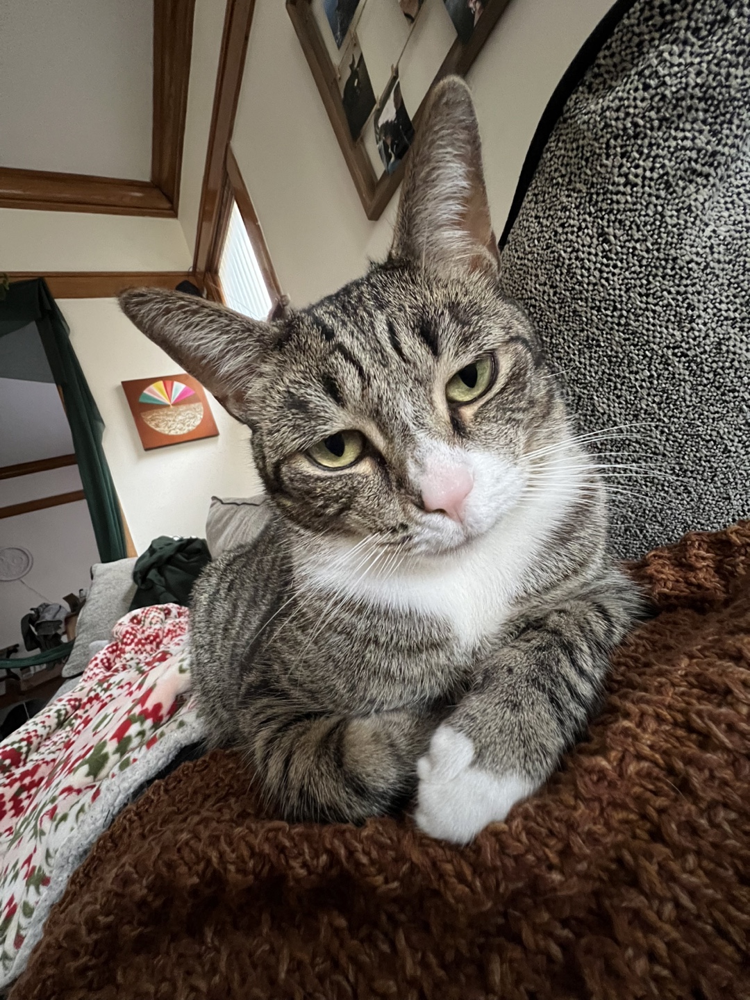Carolyn profile
